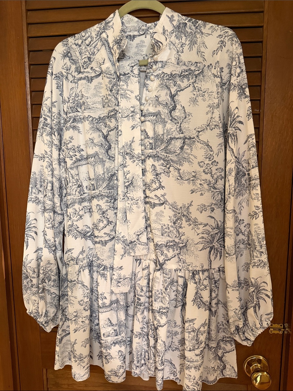 Blue and White Toile Long-Sleeve Dress